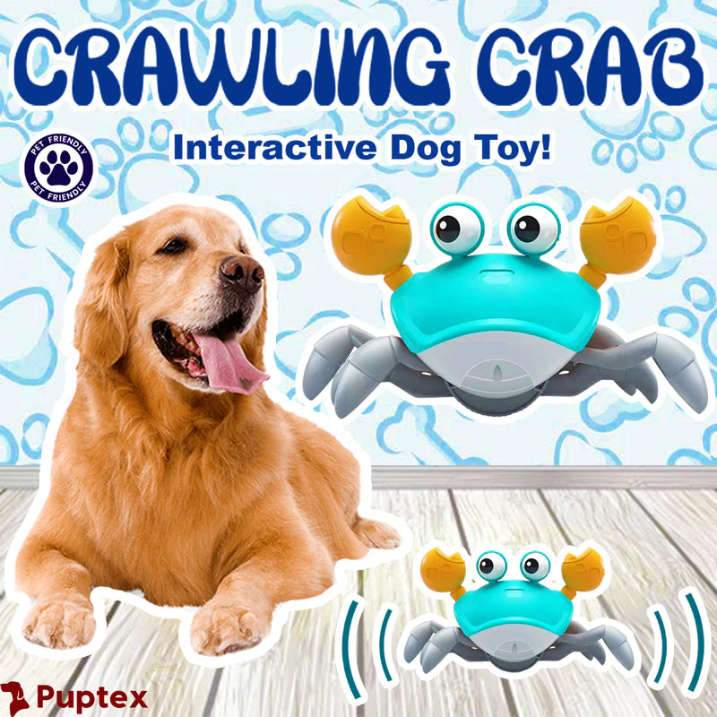 Crawling Crab - Interactive Dog Toy